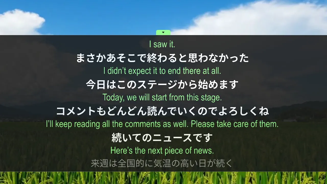 The subtitle bar expanded to scroll back through recent Japanese lines with English translations