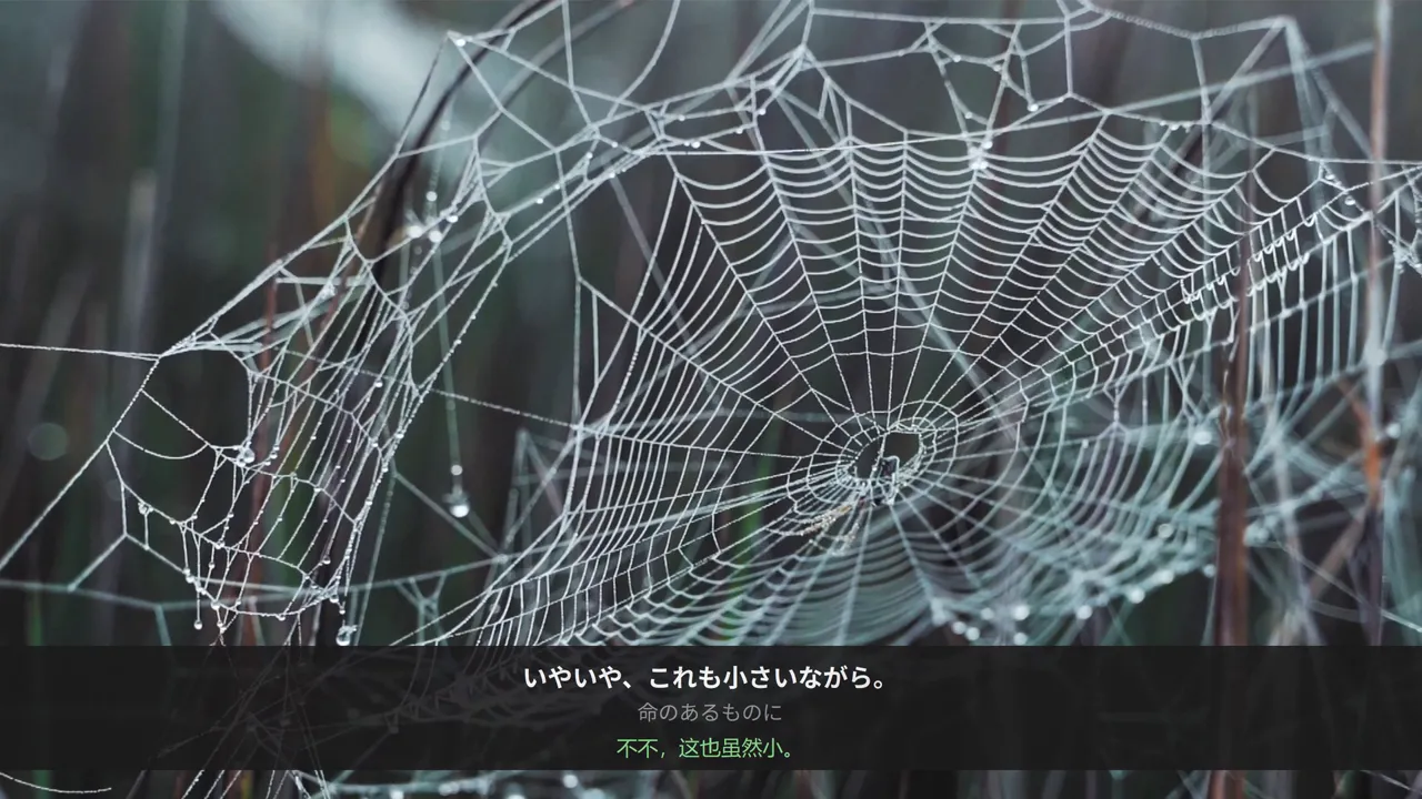 边看边翻译